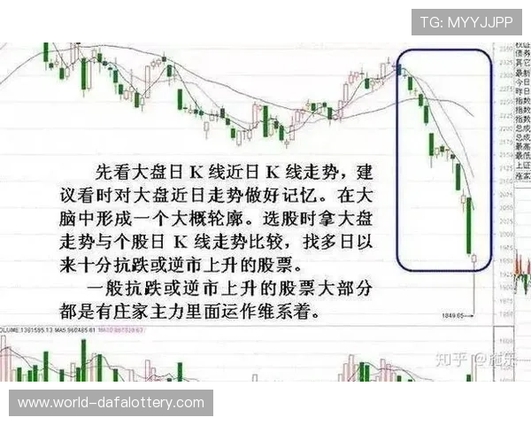 今晚11选5走势全解析热门号码连中技巧与冷门反弹机会前瞻